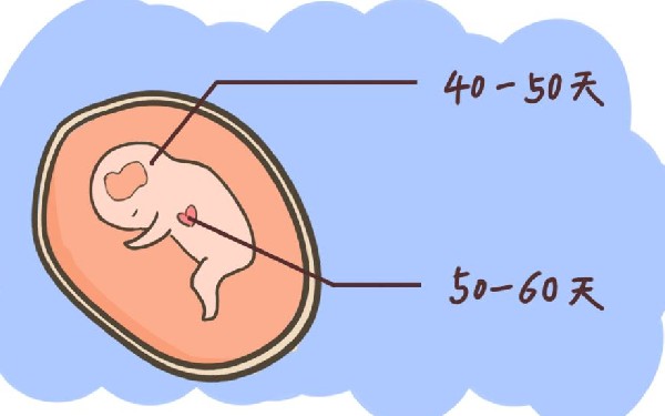 多囊卵巢泰国试管婴儿让希望和梦想变为现实