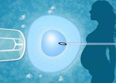 做试管时取卵只取出一个卵泡可以配成优质胚胎吗