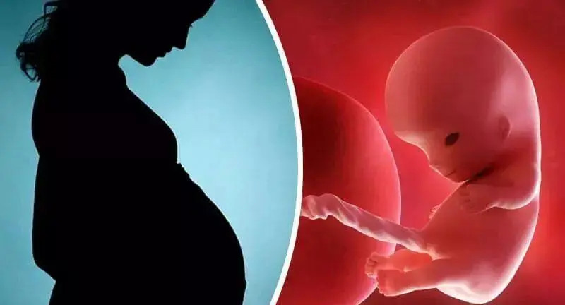 试管婴儿怀双胞胎很危险吗，要不要减胎